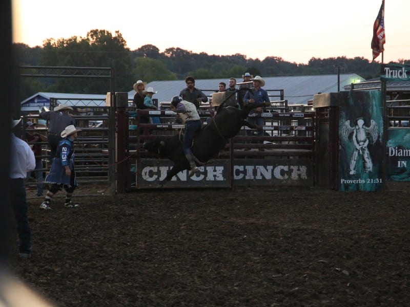 Photo gallery: Rodeo at the 2025 Athens County Fair