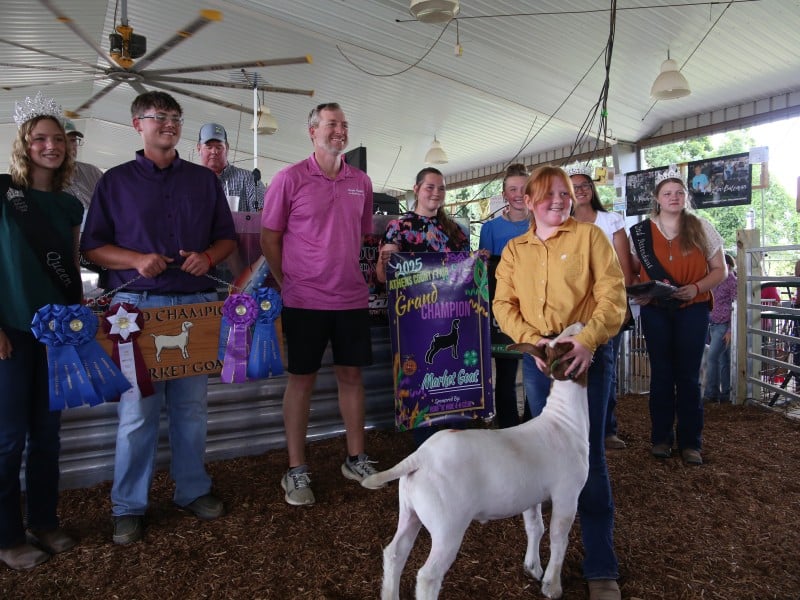 Photo gallery: 2025 Athens County Jr. Fair Livestock Sale and awards