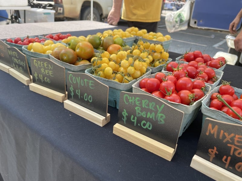 Intense summer rains damage crops and harm local businesses