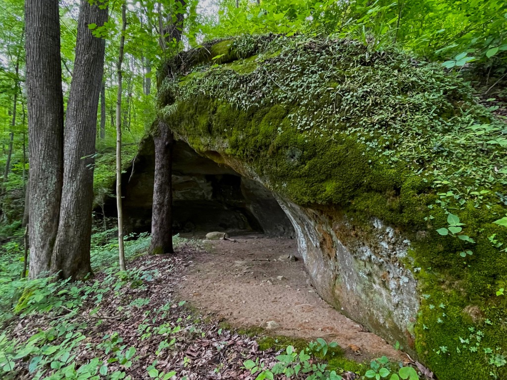 A photo of a mossy recess cave.