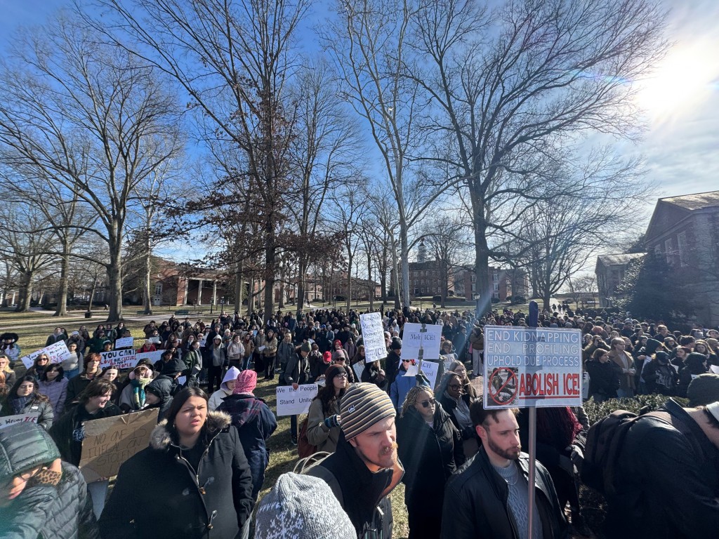 Demonstrators on the College Green .